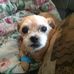 Profile Picture of Ted Blechinger (@ted.blechinger) on Facebook