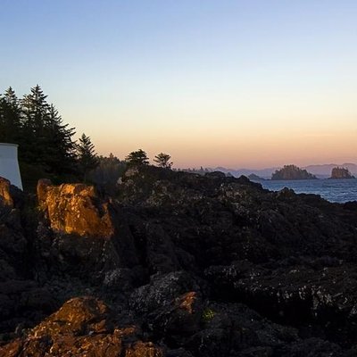 Profile Picture of Leah Sheldon (@LeahTraffic) on Twitter