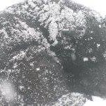 Profile Picture of Nathan Speerstra (@nathanspeerstra) on Instagram