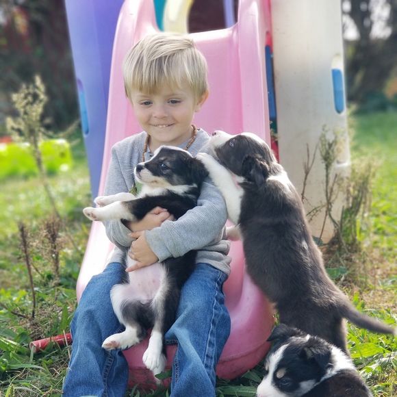 Profile Picture of Josie Casebere (@josiecasebere) on Poshmark