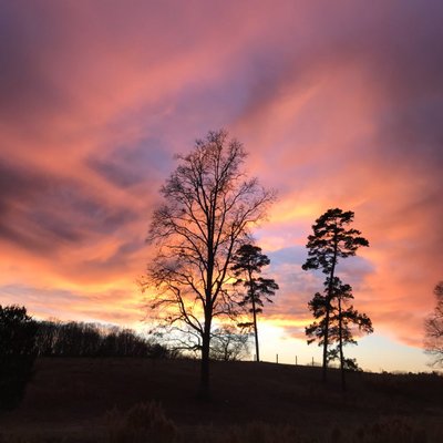 Profile Picture of Shirley Maxwell (@shirley5775) on Twitter