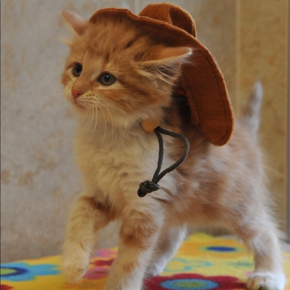 Profile Picture of Linnea Ettlin (@voyevoda) on Poshmark