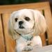 Profile Picture of Suhyon Hong (@suhyonh) on Pinterest