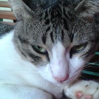 Profile Picture of Lope Barbadillo (@lope-barbadillo) on Quora