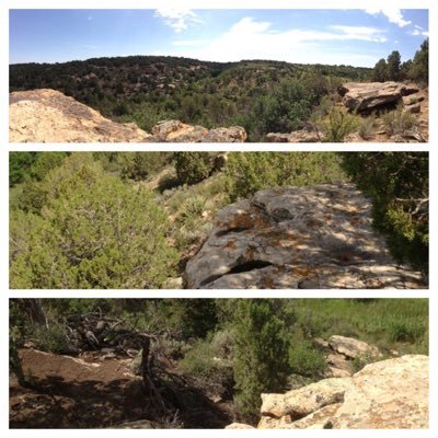 Profile Picture of Dillon Avery (@DillonAvery7) on Twitter