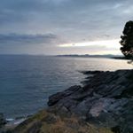 Profile Picture of Thomas Desion (@thom837) on Instagram