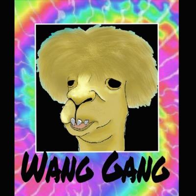 Profile Picture of Blake Lovett (@_wang_gang_) on Twitter