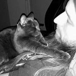 James Wellings-Gray - Instagram Profile Picture of James Wellings-Gray (@madadhalluidh) on Instagram