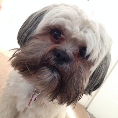 Profile Picture of Stephen Okon (@noko147) on Twitter