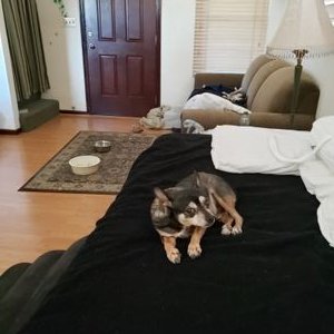 Profile Picture of Phyllis Van METER (@MeterPhyllis) on Twitter