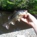 Profile Picture of Andrew Ryals (@andrew.ryals.75) on Facebook