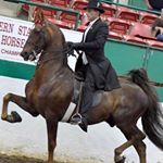 Profile Picture of Michael J Eure (@m_j_eure) on Instagram