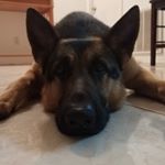Profile Picture of Norma Laboy (@nlabjim) on Instagram