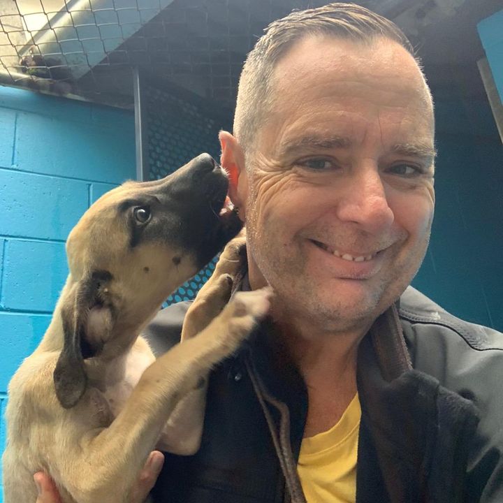 Profile Picture of Mark Hines (@markhines65) on Tiktok