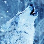 Profile Picture of Peter Velazquez (@petervelazquez12) on Instagram