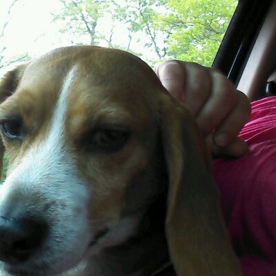 Profile Picture of Pamela Abbott (@sassygirl311) on Twitter