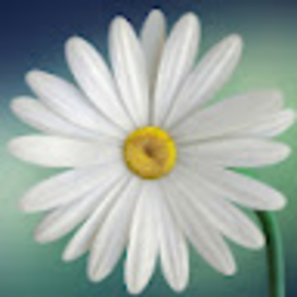 Profile Picture of Katie Carothers (@carotherske22) on Poshmark