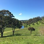 Profile Picture of david_mcilwaine (@david_mcilwaine) on Instagram