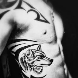 Profile Picture of Matt Sandman (@_MattSandman) on Twitter