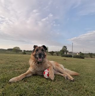 Profile Picture of Alex Gotta (Cilu) (@alex.gotta.9699) on Facebook