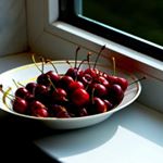 Profile Picture of Daintry Horan (@daintry_horan) on Instagram