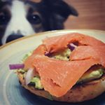 crystal - Instagram Profile Picture of crystal (@crystal.decarlo) on Instagram