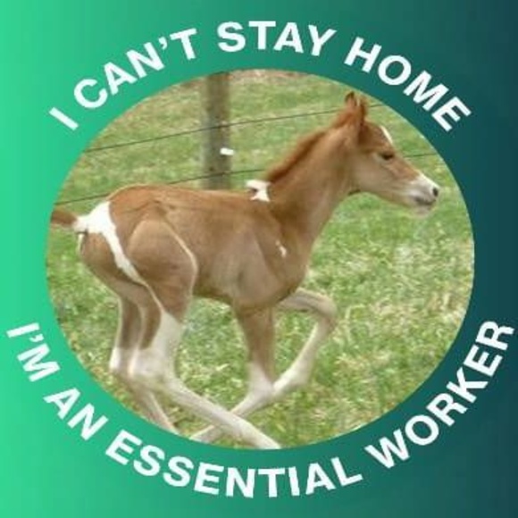 Profile Picture of Diane Marsman (@dianemmarsman) on Poshmark