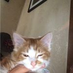 Profile Picture of malika gail pruitt (@malikagail) on Instagram