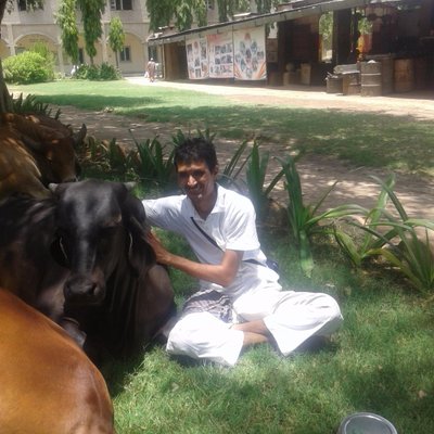 Profile Picture of Bhupendra Patel (@bhupendra9431) on Twitter