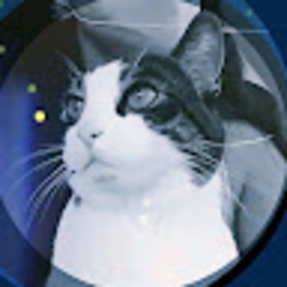 Profile Picture of Stellerbee Stelle (@stellerbee) on Poshmark