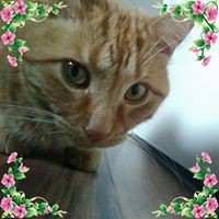 Profile Picture of Ava-lynn Solomon (@ava-lynn-solomon) on Quora