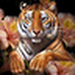 little_jim_1 - Flickr Profile Picture of little_jim_1 (@little_jim_1) on Flickr