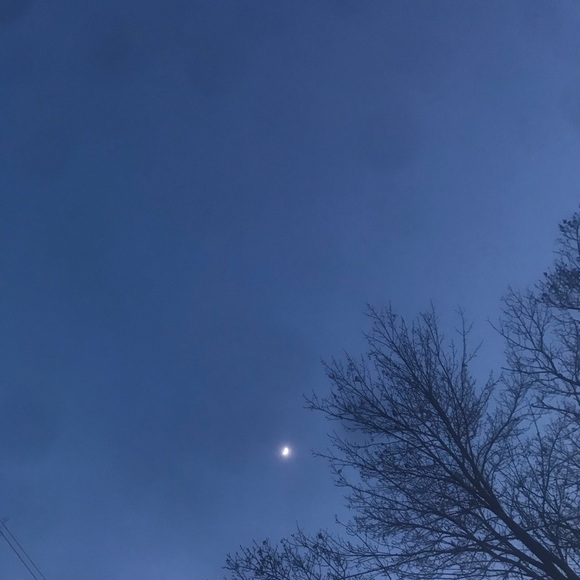 Profile Picture of Alexandra Tirone (@lexitirone) on Poshmark