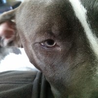 Profile Picture of James Click Jr (@james-click-jr) on Quora