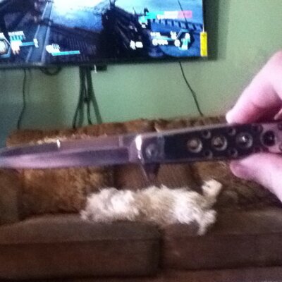 Profile Picture of Kevin Bedolla (@KevinBedolla) on Twitter