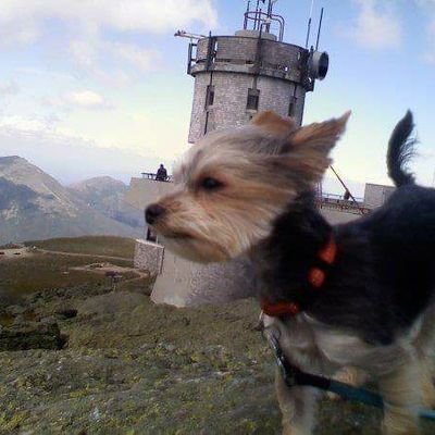 Profile Picture of Jeff Mercier (@millcitytraders) on Twitter