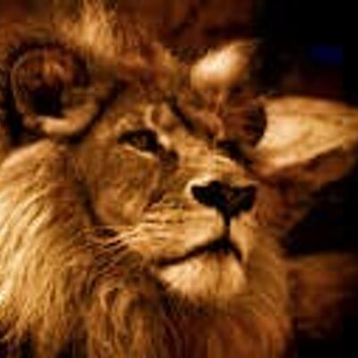 Profile Picture of Cody Lawrence (@CL_Lawrence1331) on Twitter