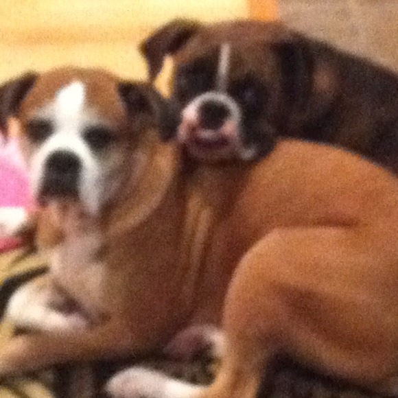 Profile Picture of Pamela Carroll (@pcarroll64) on Poshmark