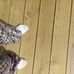 Profile Picture of Sheila Rosenberger (@Sheila-Rosenberger) on Facebook