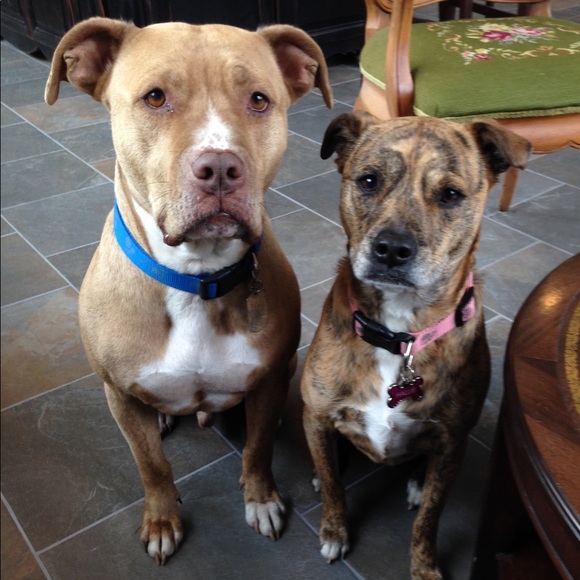 Profile Picture of Samantha Kovalsky (@samkay326) on Poshmark