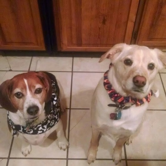 Josephine Massaro - Poshmark Profile Picture of Josephine Massaro (@clasrm) on Poshmark