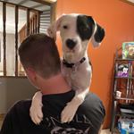 Profile Picture of Dennis Edwards (@eennis_ddwards) on Instagram