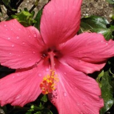 Profile Picture of Malia Ann Mitchell (@MitchellMalia) on Twitter