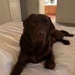 Profile Picture of Carrie Schmidt (@carrie.schmidt.353) on Instagram