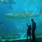 Profile Picture of pamelajurgensen (@pamelajurgensen) on Instagram