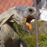 Profile Picture of Filip_oldach (@filip_oldach) on Instagram