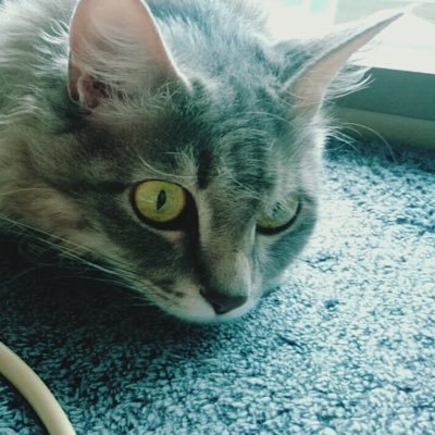 Profile Picture of 高田 健太郎 (@_ken_takada) on Twitter