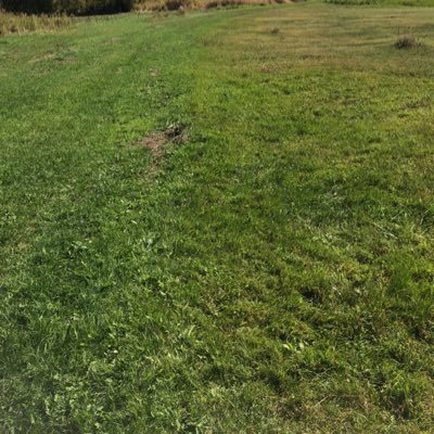 Profile Picture of Evan Ramsay (@EvanRamsay5) on Twitter