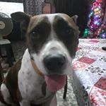 Profile Picture of Aaron Ayala (@aaron_nirvana97) on Instagram