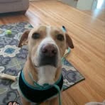 Profile Picture of Steven Caruso (@Steven-Caruso) on Facebook